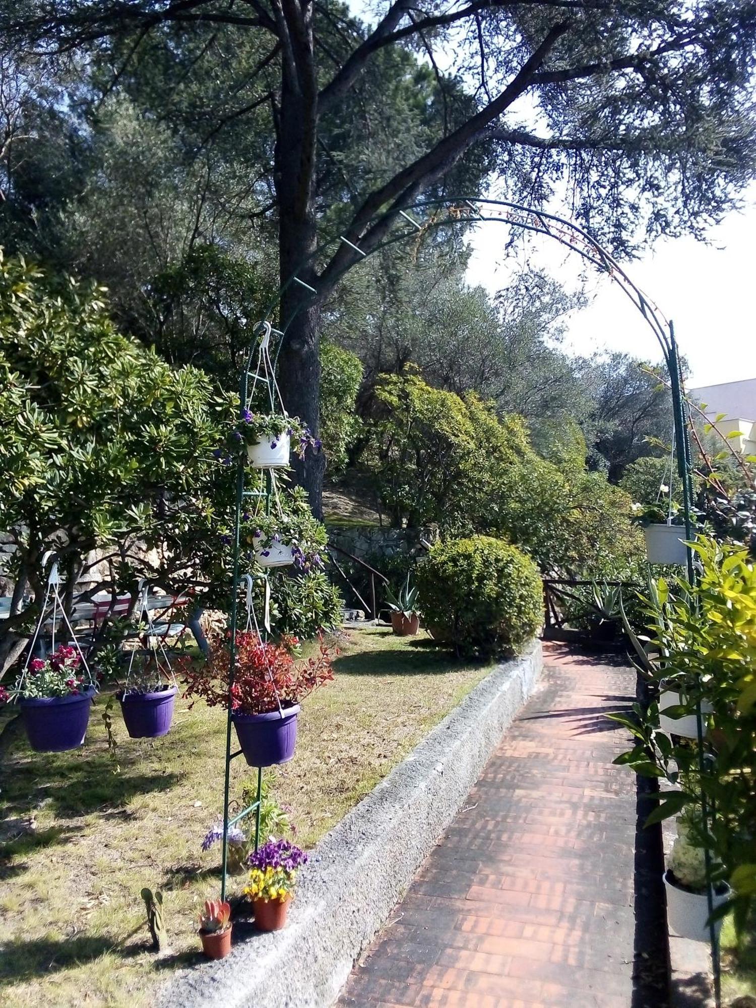 La Camera Tra Gli Ulivi Dream Finale Finale Ligure Exterior photo