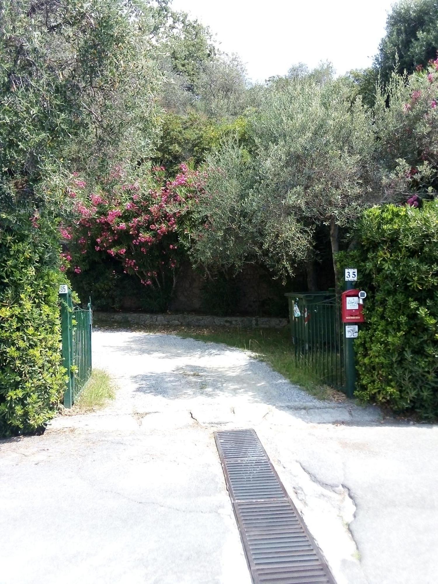La Camera Tra Gli Ulivi Dream Finale Finale Ligure Exterior photo