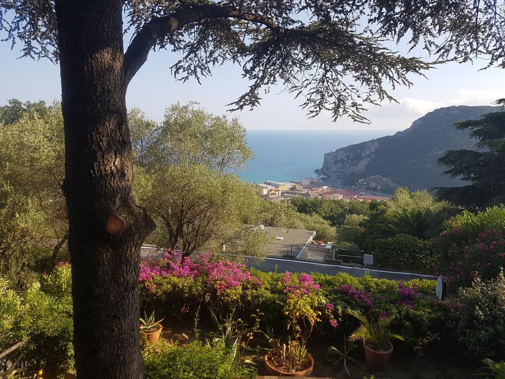 La Camera Tra Gli Ulivi Dream Finale Finale Ligure Exterior photo